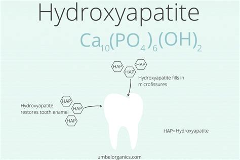 Hydroxyapatite: A Biocompatible Wonder for Bone Regeneration and Dental Applications!