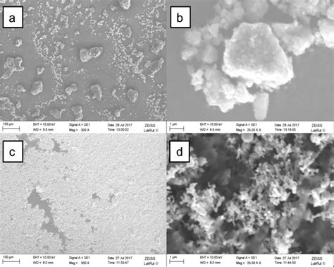  鋅氧化物納米粒子：催化與光電轉換的未來之星！